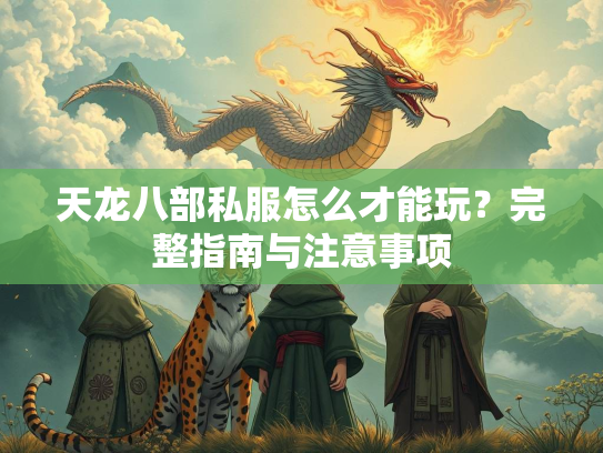 天龙八部私服怎么才能玩？完整指南与注意事项