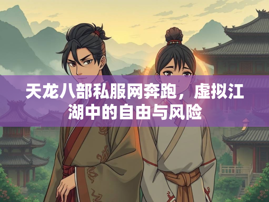 天龙八部私服网奔跑，虚拟江湖中的自由与风险  第3张