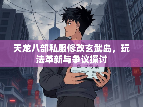 天龙八部私服修改玄武岛，玩法革新与争议探讨
