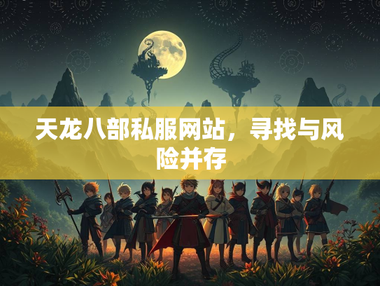 天龙八部私服网站，寻找与风险并存  第2张