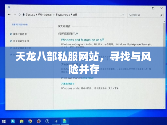 天龙八部私服网站，寻找与风险并存  第3张