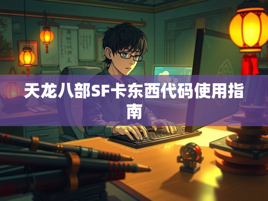 天龙八部SF卡东西代码使用指南
