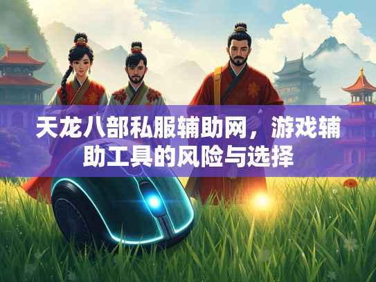 天龙八部私服辅助网，游戏辅助工具的风险与选择  第2张