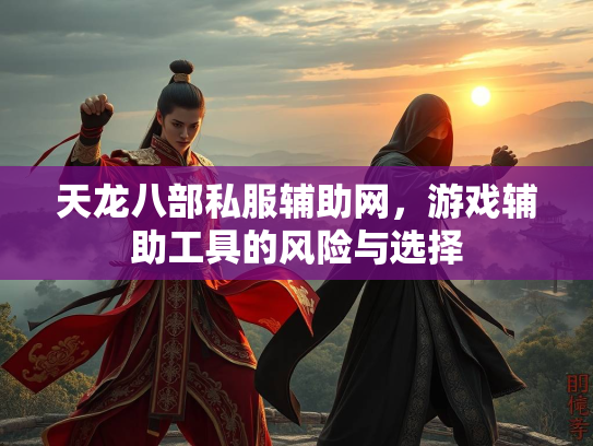 天龙八部私服辅助网，游戏辅助工具的风险与选择  第3张
