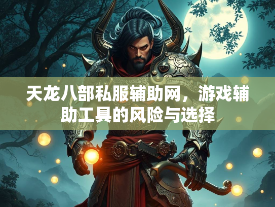 天龙八部私服辅助网，游戏辅助工具的风险与选择