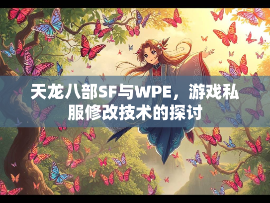 天龙八部SF与WPE，游戏私服修改技术的探讨  第2张