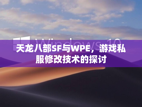 天龙八部SF与WPE，游戏私服修改技术的探讨  第3张