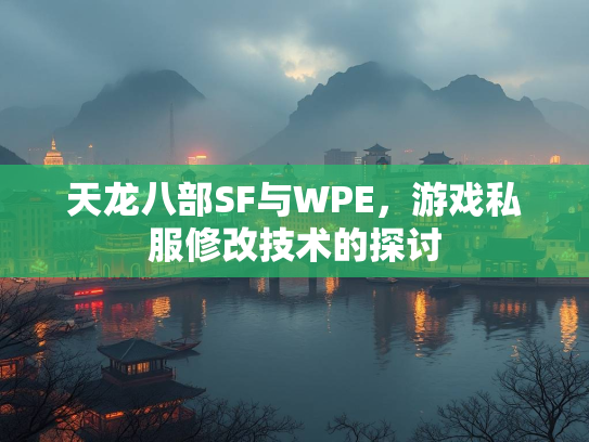 天龙八部SF与WPE，游戏私服修改技术的探讨