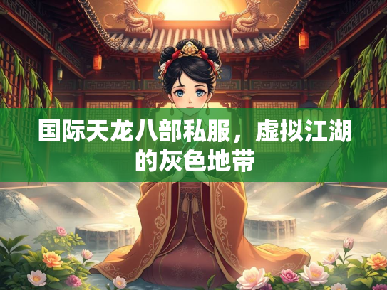 国际天龙八部私服，虚拟江湖的灰色地带  第2张