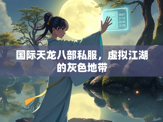 国际天龙八部私服，虚拟江湖的灰色地带  第3张