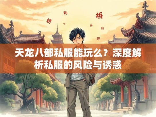 天龙八部私服能玩么？深度解析私服的风险与诱惑  第2张