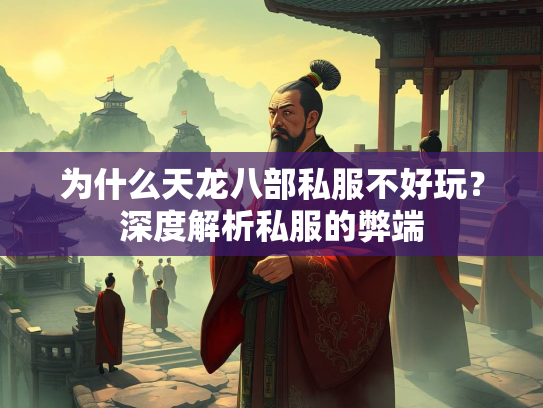 为什么天龙八部私服不好玩？深度解析私服的弊端  第2张