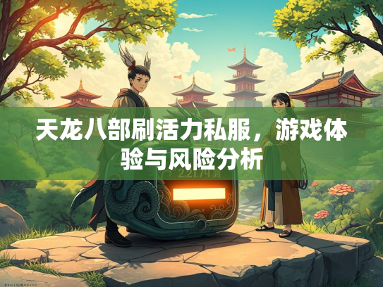 天龙八部刷活力私服，游戏体验与风险分析  第2张