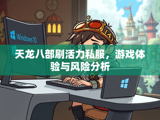 天龙八部刷活力私服，游戏体验与风险分析