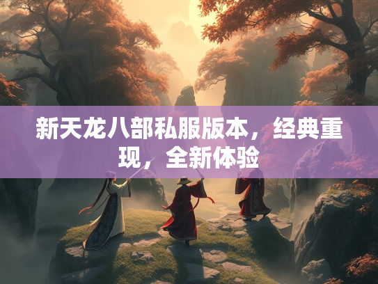 新天龙八部私服版本，经典重现，全新体验  第3张