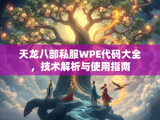 天龙八部私服WPE代码大全，技术解析与使用指南  第2张