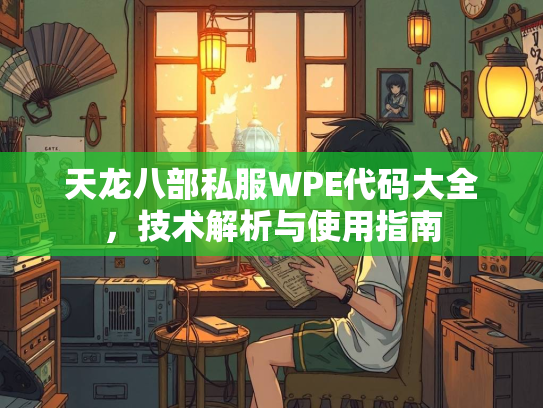 天龙八部私服WPE代码大全，技术解析与使用指南  第3张