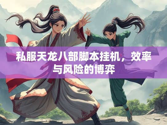 私服天龙八部脚本挂机，效率与风险的博弈