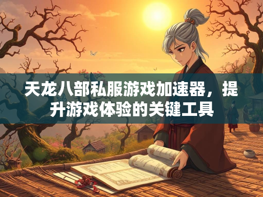 天龙八部私服游戏加速器，提升游戏体验的关键工具  第2张