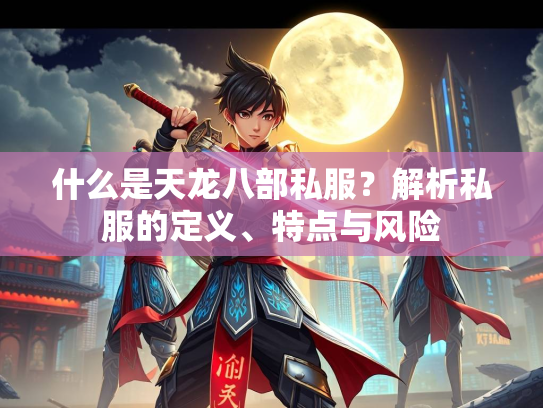 什么是天龙八部私服？解析私服的定义、特点与风险  第3张