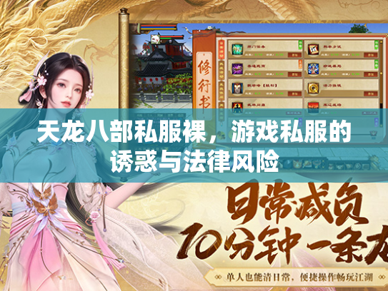 天龙八部私服裸，游戏私服的诱惑与法律风险