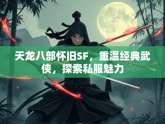天龙八部怀旧SF，重温经典武侠，探索私服魅力  第2张