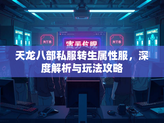 天龙八部私服转生属性服，深度解析与玩法攻略  第2张