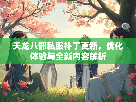 天龙八部私服补丁更新，优化体验与全新内容解析  第2张