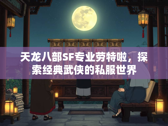 天龙八部SF专业劳特啦，探索经典武侠的私服世界  第2张
