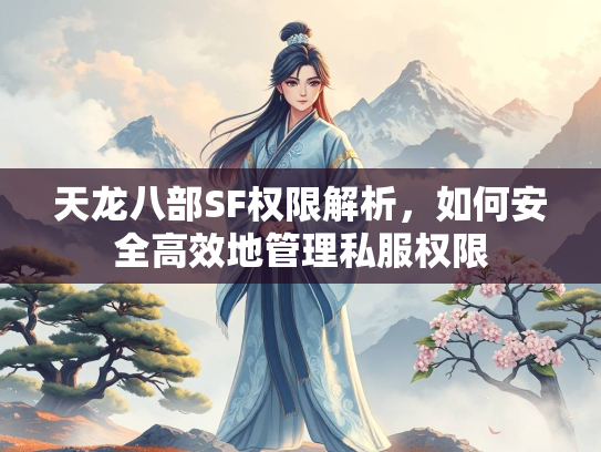 天龙八部SF权限解析，如何安全高效地管理私服权限