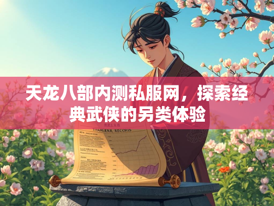 天龙八部内测私服网，探索经典武侠的另类体验  第2张