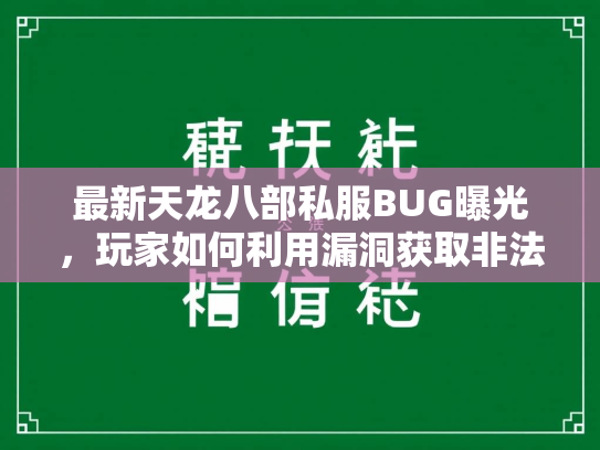 最新天龙八部私服BUG曝光，玩家如何利用漏洞获取非法收益？  第3张