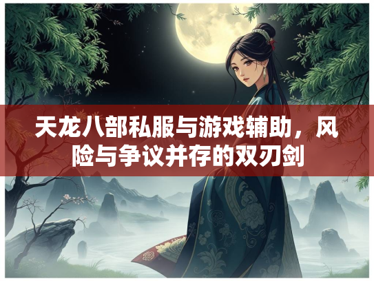 天龙八部私服与游戏辅助，风险与争议并存的双刃剑