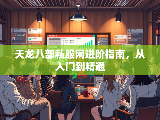 天龙八部私服网进阶指南，从入门到精通  第3张
