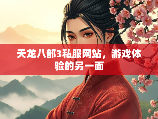天龙八部3私服网站，游戏体验的另一面