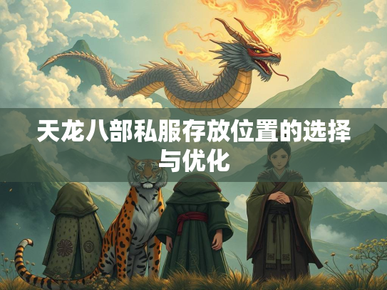 天龙八部私服存放位置的选择与优化
