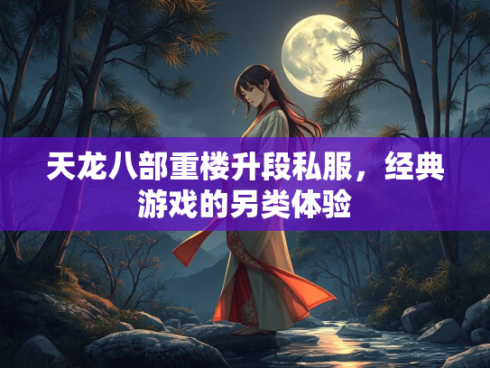 天龙八部重楼升段私服，经典游戏的另类体验  第2张