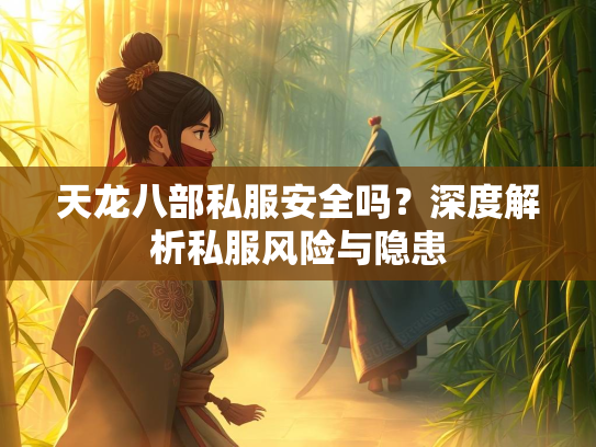 天龙八部私服安全吗？深度解析私服风险与隐患