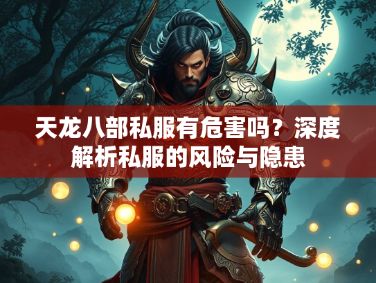 天龙八部私服有危害吗？深度解析私服的风险与隐患