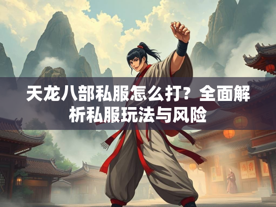 天龙八部私服怎么打？全面解析私服玩法与风险