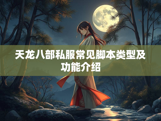 天龙八部私服常见脚本类型及功能介绍  第2张