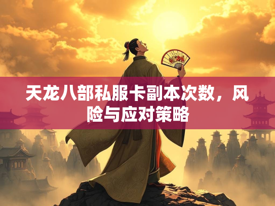 天龙八部私服卡副本次数，风险与应对策略  第2张