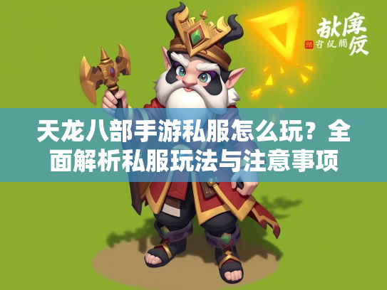 天龙八部手游私服怎么玩？全面解析私服玩法与注意事项