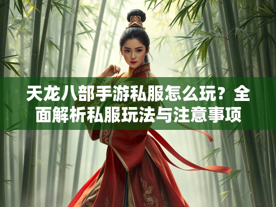 天龙八部手游私服怎么玩？全面解析私服玩法与注意事项
