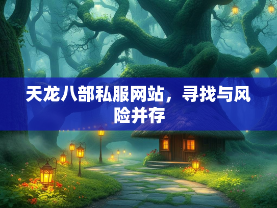 天龙八部私服网站，寻找与风险并存