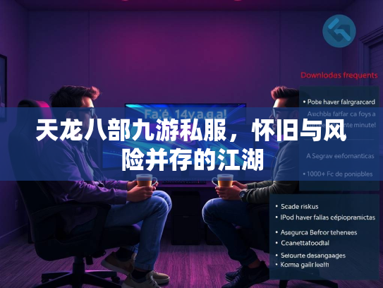 天龙八部九游私服，怀旧与风险并存的江湖  第2张