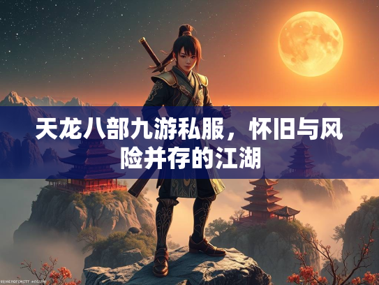 天龙八部九游私服，怀旧与风险并存的江湖  第3张