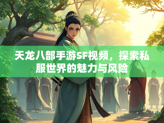 天龙八部手游SF视频，探索私服世界的魅力与风险  第1张