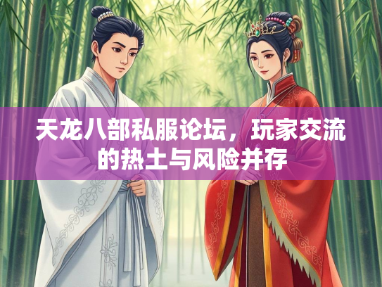天龙八部私服论坛，玩家交流的热土与风险并存  第2张