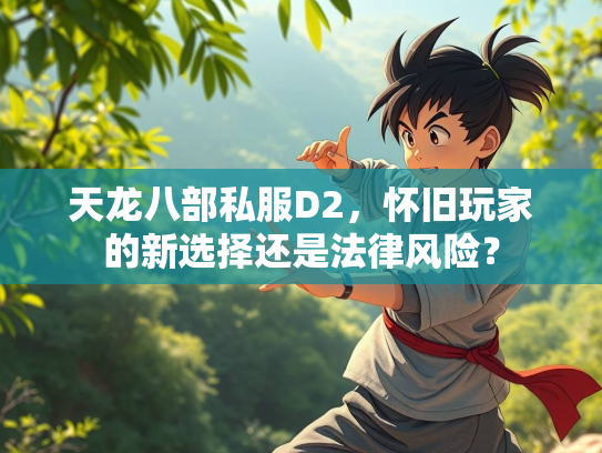 天龙八部私服D2，怀旧玩家的新选择还是法律风险？